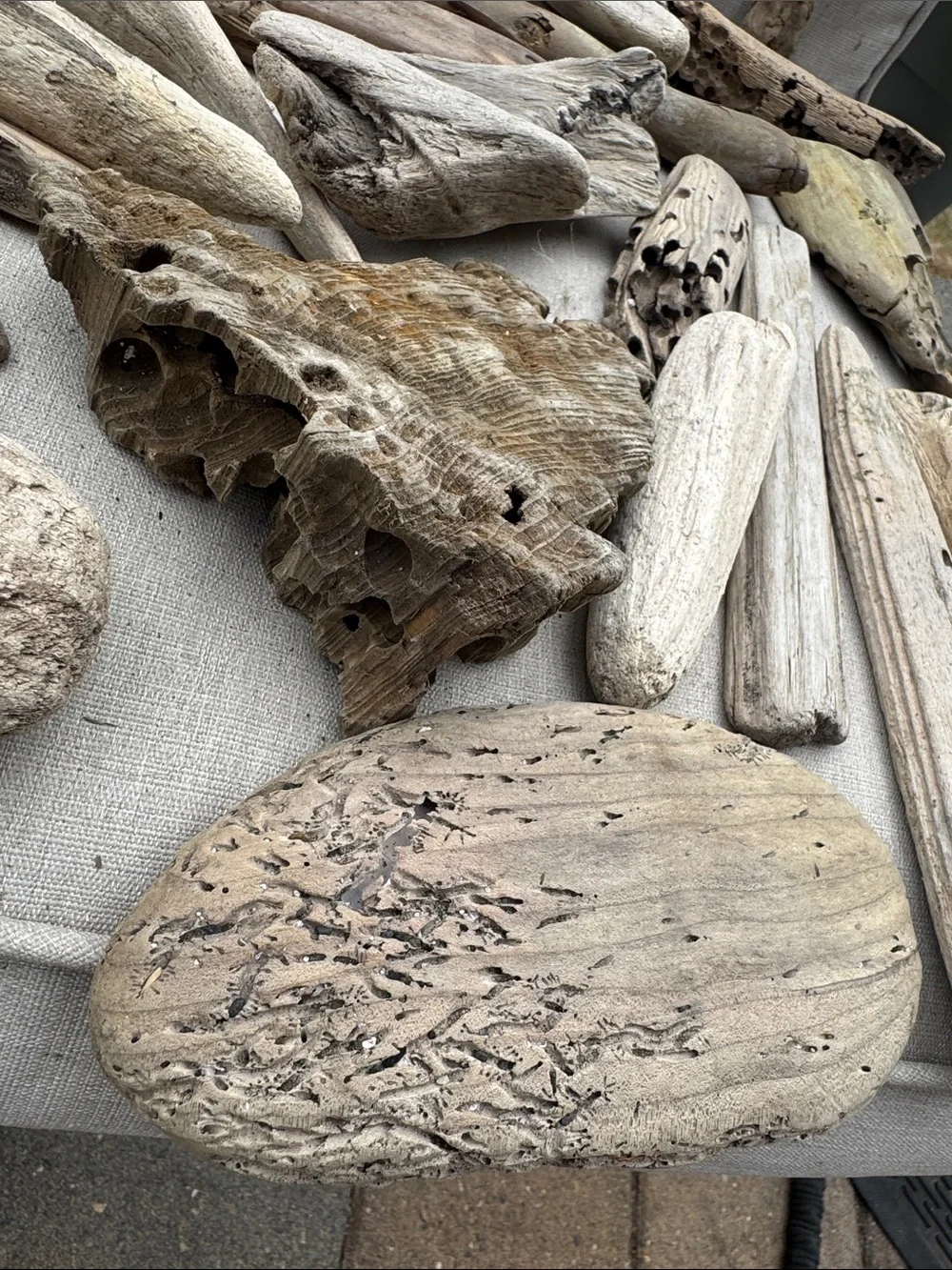 35 pcs (5lbs shipped) Natural Driftwood Pieces for decor, arts, crafts, projects